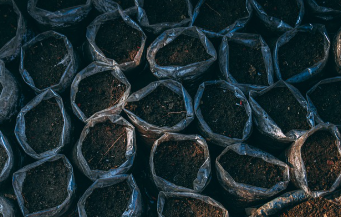 포항 불꽃축제 일정 2025년 10