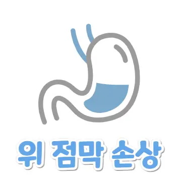 역류성 식도염 원인 1