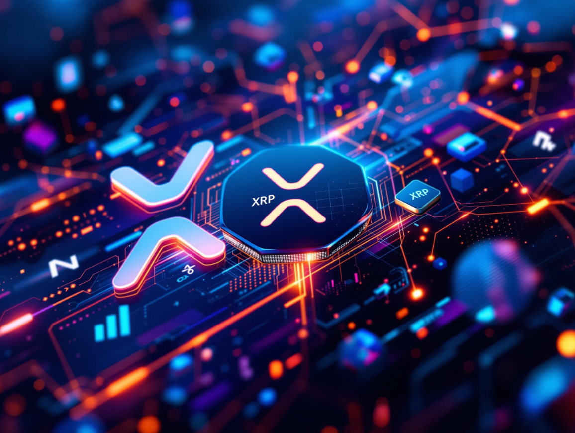 엑스알피 로고와 인포그래픽