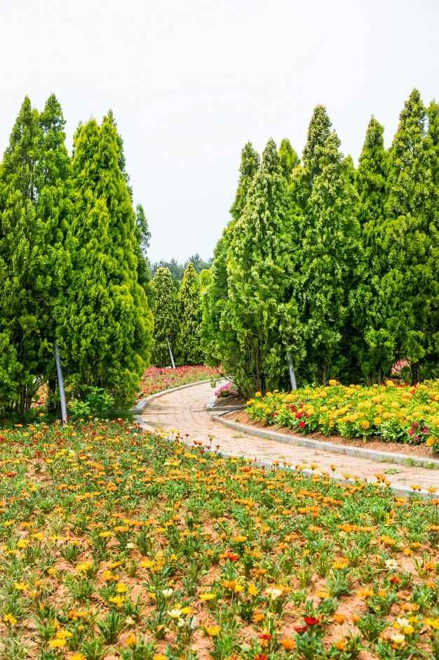 천사섬 분재공원