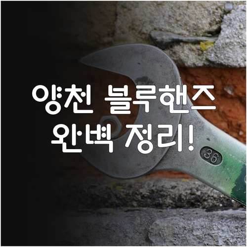 양천구 현대차 블루핸즈 신정점 목동점..
