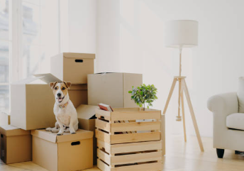 이사짐 최종점검