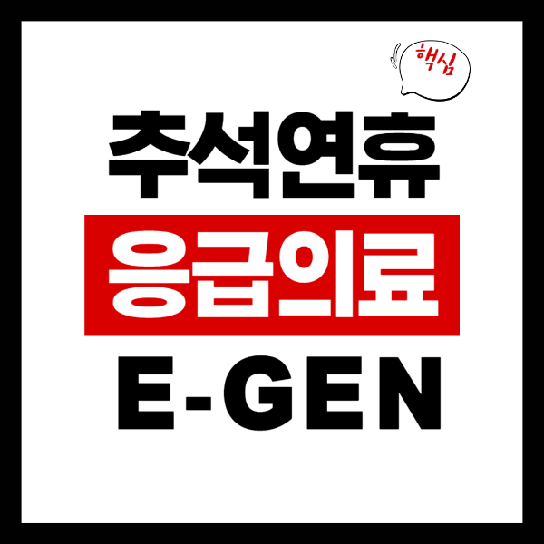 응급의료 포털