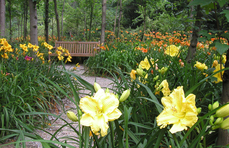 용인 가볼만한 곳 한택식물원 입장료