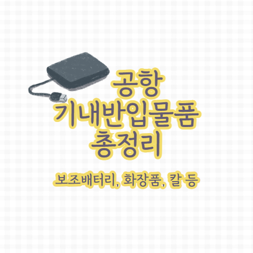 공항 기내반입물품 총정리