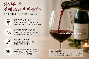 와인은 왜 잔에 조금만 따를까? 와인잔에 적당량만 따르는 이유