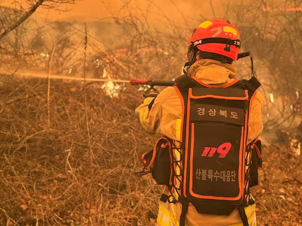 계속되는 강풍 속 산청 산불&amp;#44; 대원 2명 사망 2명 실종&hellip;
