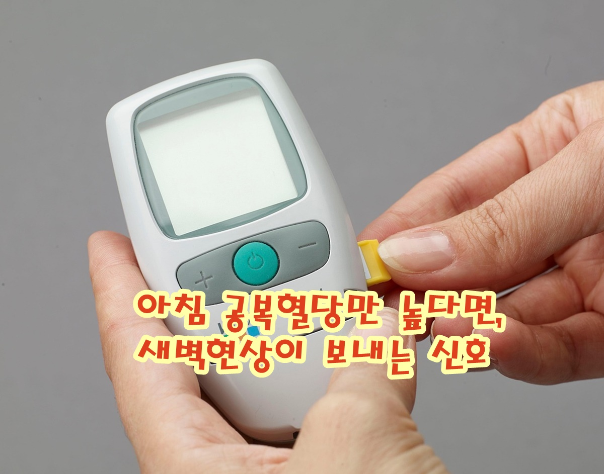 아침 공복혈당만 높다면, 당뇨 전단계일까? 새벽현상이 보내는 신호