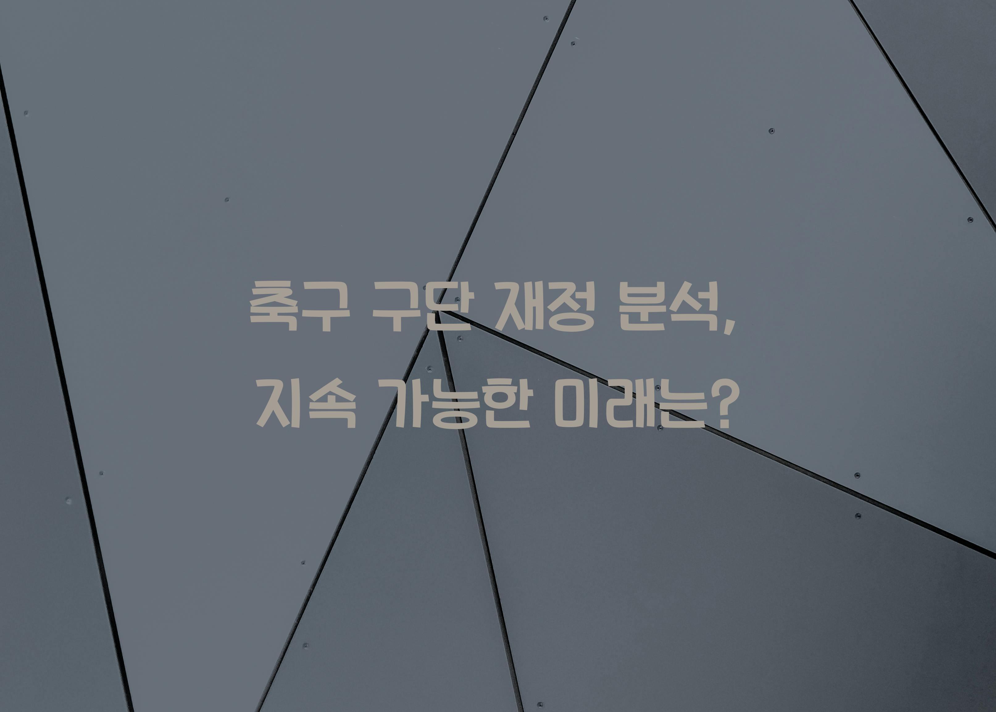 축구 구단 재정 분석