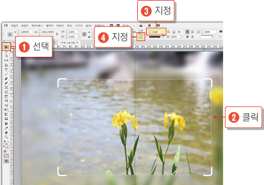 카메라 포커스24