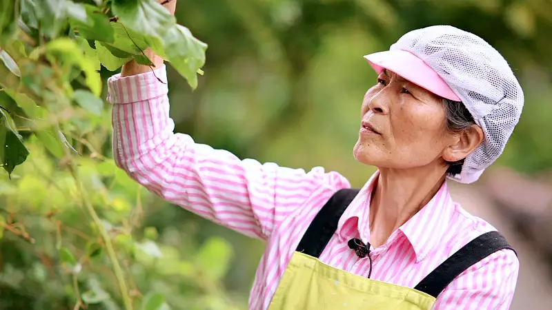 이만기 동네한바퀴 시즌2 백년 술도가 전통주, 막걸리 식초로 무친 새콤한 서대회 추천 경북 의령 맛집 소개