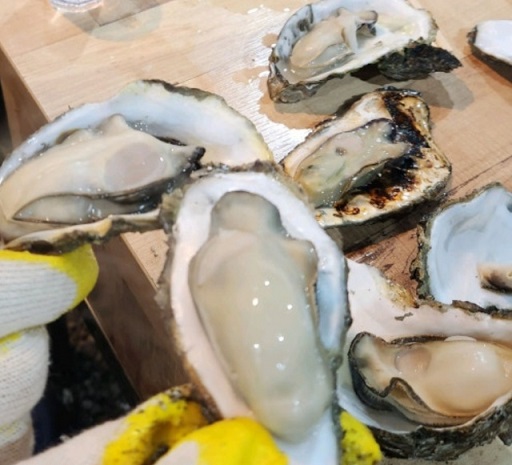 전현무계획-사천-굴구이-은지네굴구이