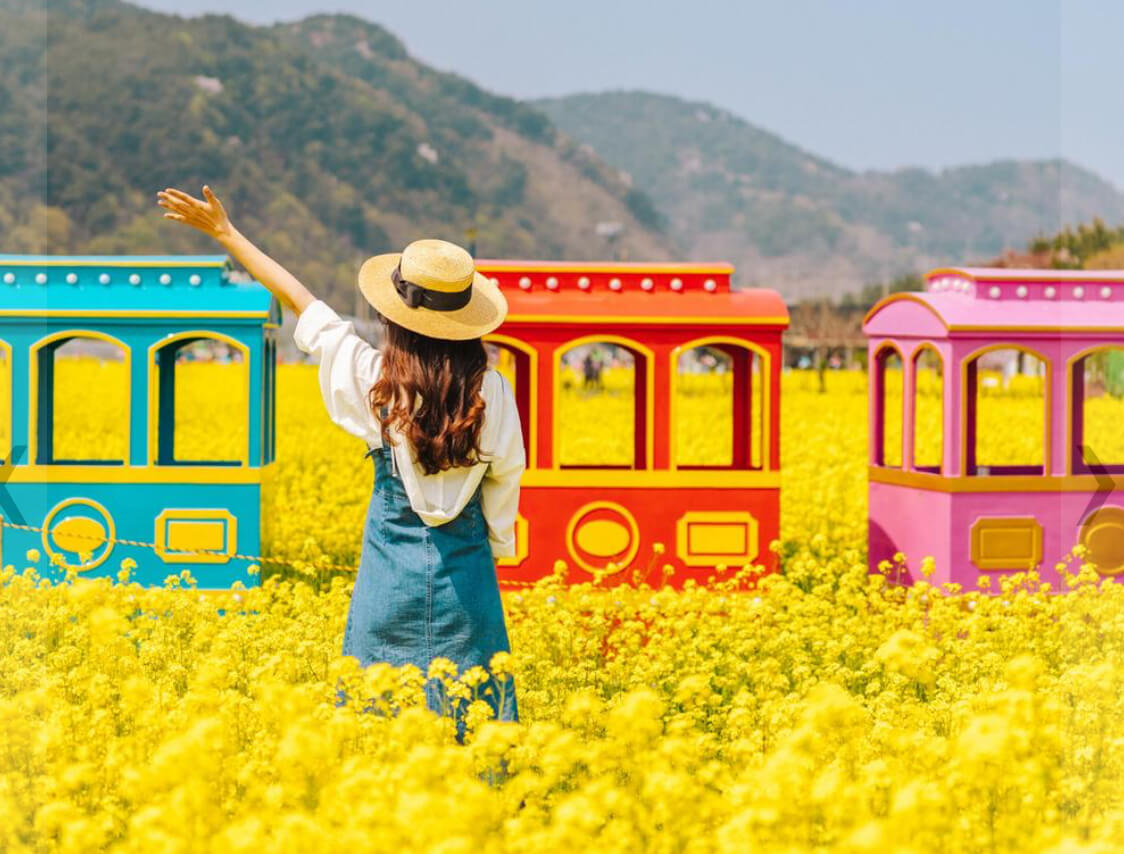 삼척맹방유채꽃 축제의 활기찬 전경