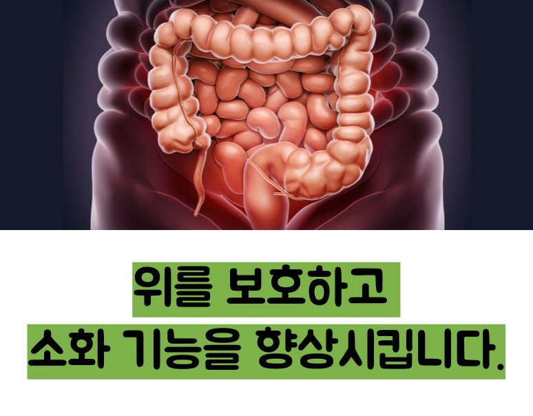 아보카도 효능