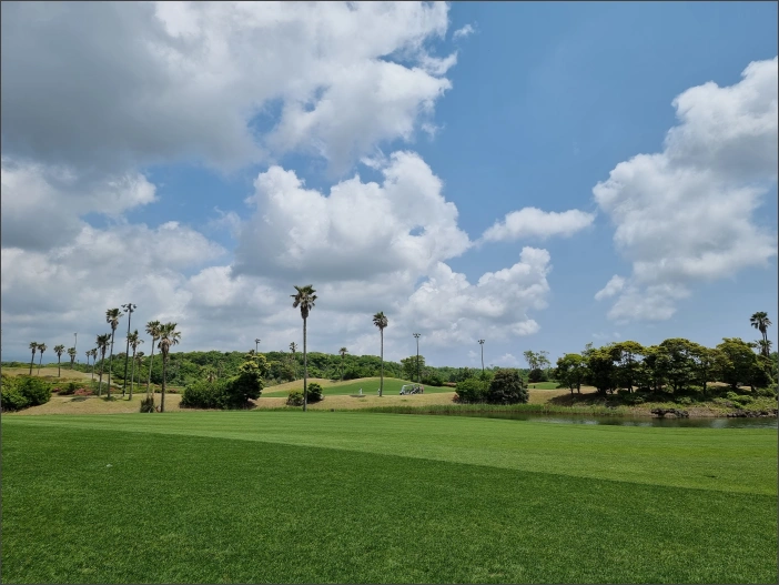 드라이버비거리늘리기