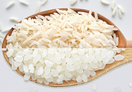 쌀 종류-자포니카,인디카