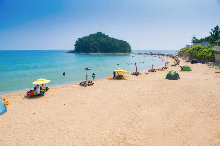 920_TUCN_202401170508298300