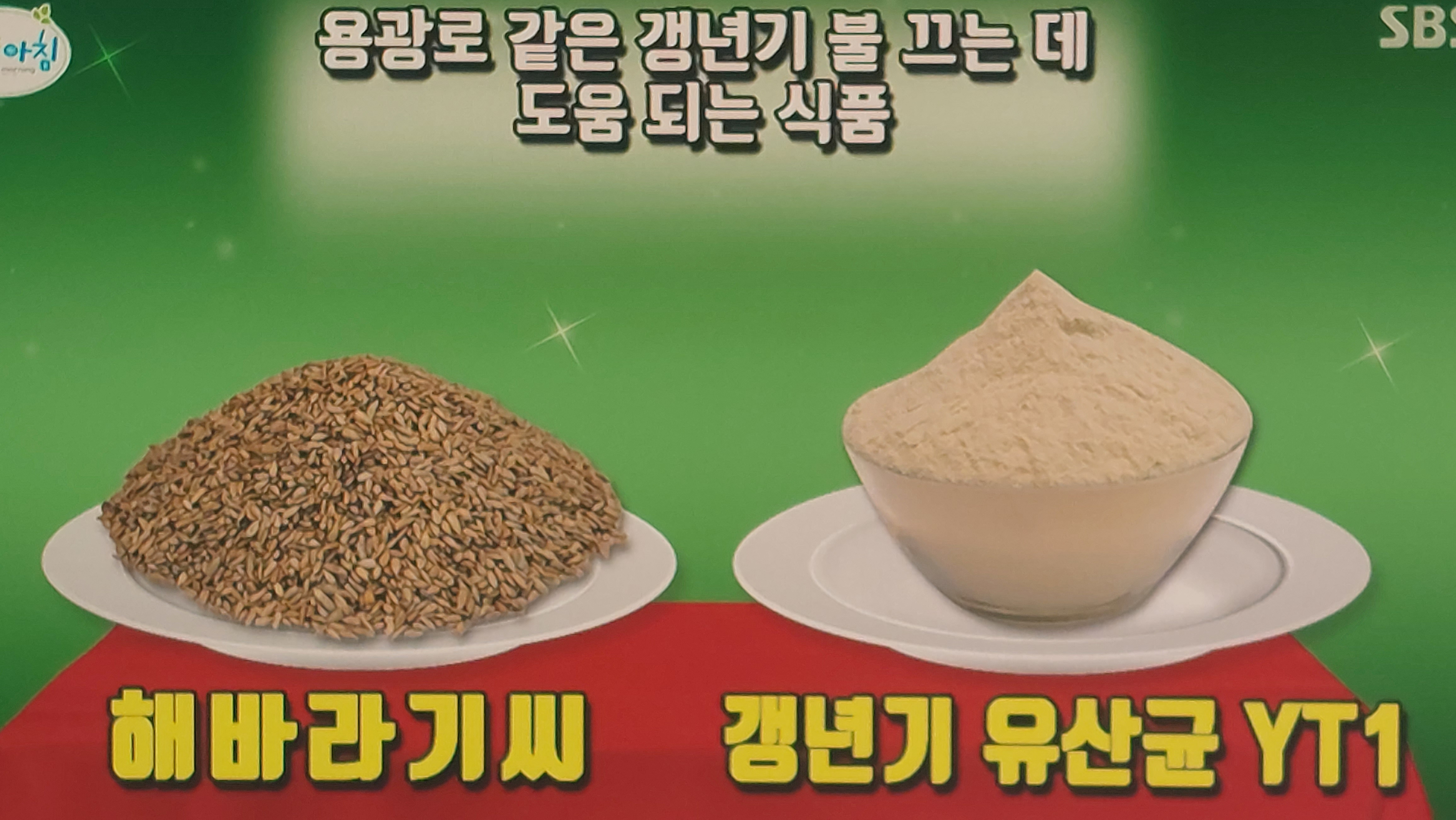 갱년기 유산균 yt1