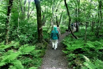 걷기좋은 명품 숲길 30선 숨겨진 코스_20