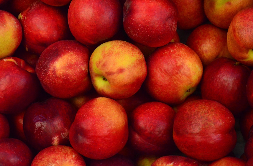 레드푸드의 힘, 항산화부터 혈관 건강까지