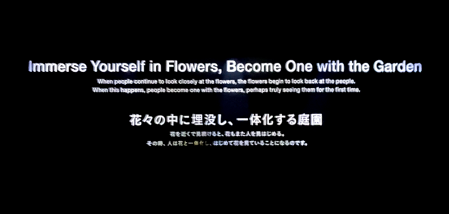 팀랩플래닛 관람 꽃과 나와 하나의 뿌리, 정원은 나와 하나의 몸