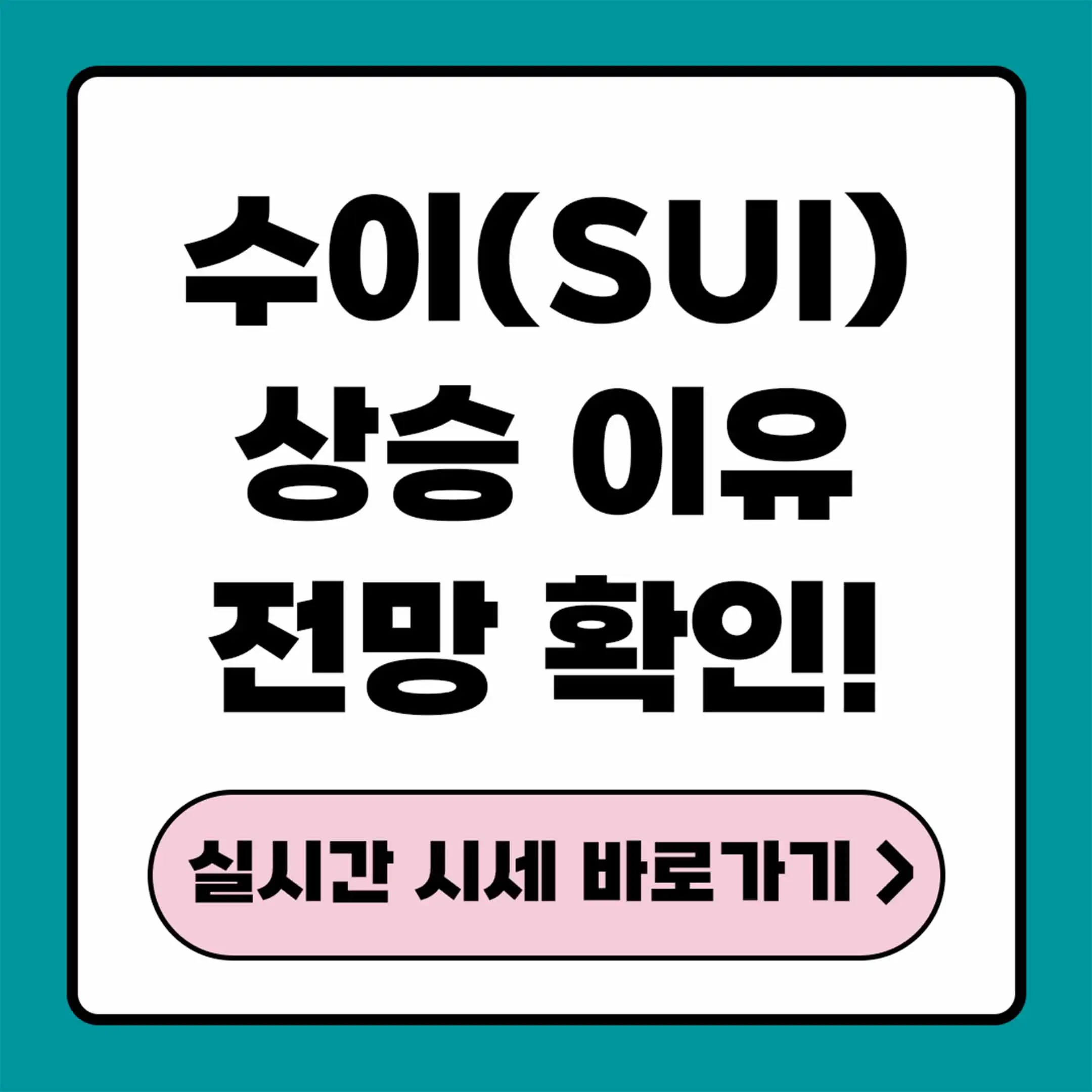 수이 코인 전망