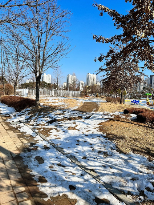 김포 반려견 겨울 나들이 명소, 강아지와 함께 산책하기 좋은 곳 추천