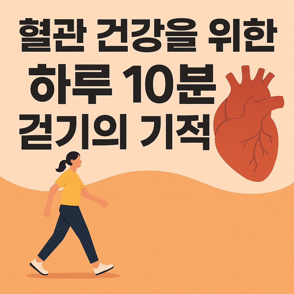 혈관 건강을 위한 하루 10분 걷기의 기적