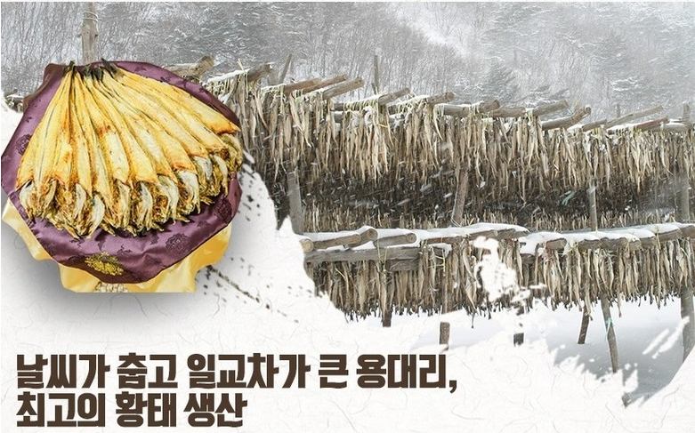 강원도 인제 용대리 황태 황태채 파는 곳 전국 택배 온라인 전화 주문 추천