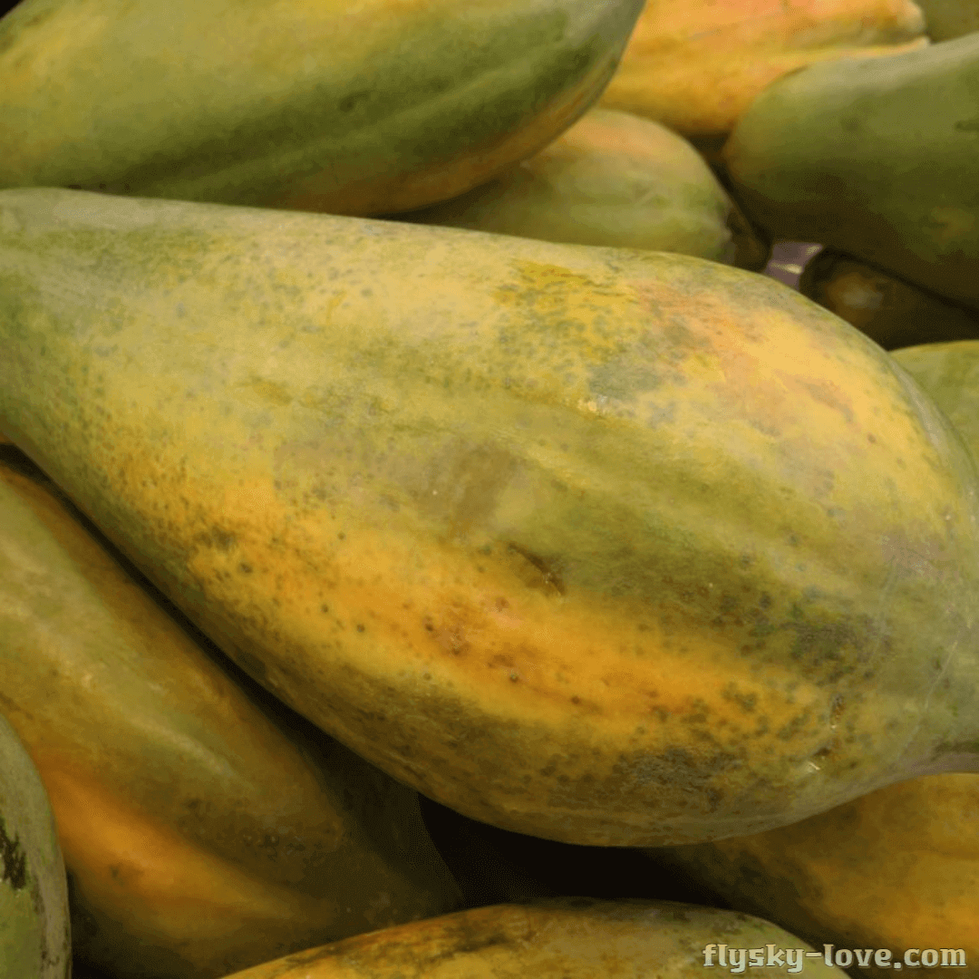 열대과일 바바코(Babaco)