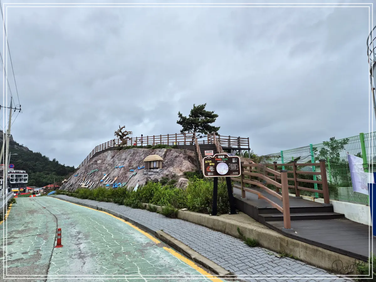 전라도-군산-가족여행-장자도-카페-라파르-외부-포토존