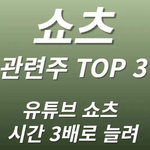 쇼츠 관련주 수혜주 주식투자