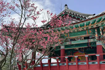 경상도 봄여행 가볼만한곳 베스트 10 완벽 여행 가이드_23