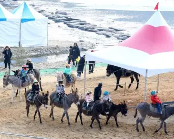 홍천강 꽁꽁 축제_22