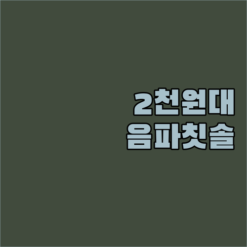 음파 전동 칫솔, 2천원대로 득템 찬
