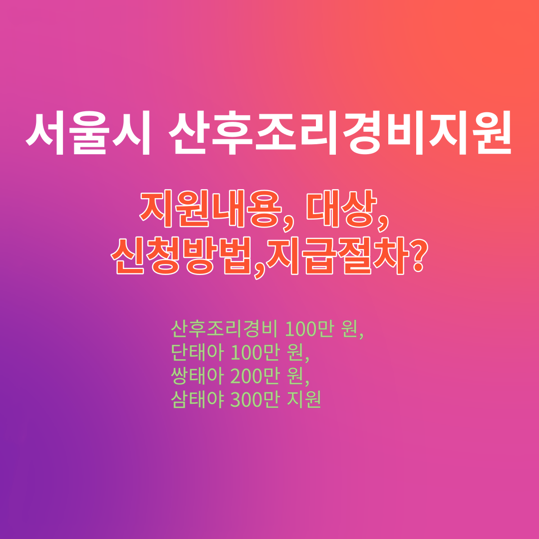 서울시 산후조리경비 지원내용 대상 기간 지급절차 신청방법 (바우처 사용처)