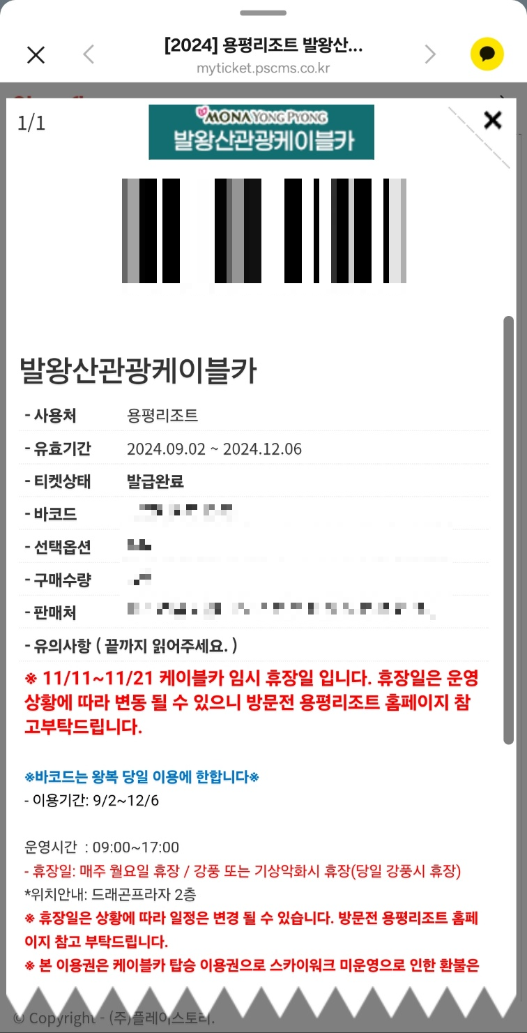 [발왕산 케이블카]