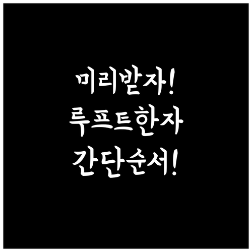 루프트한자 비행기 탑승권, 집에서 미..