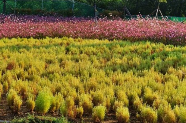 경북 구미 가볼만한곳 여행지 TOP 7곳