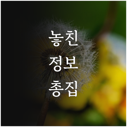 2025 제주 어르신 틀니 보청기 지..