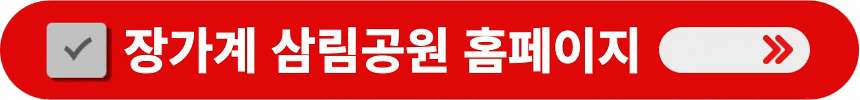 장가계-삼림공원-웹사이트를-방문하는-방법