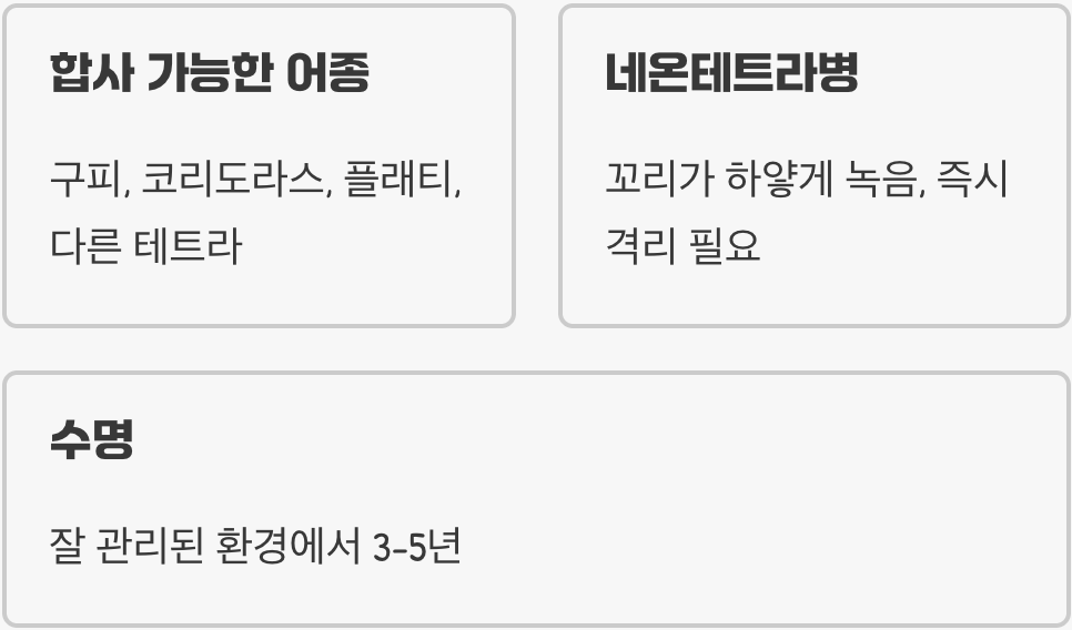 초보자가 네온테트라 키울 때 가장 많이 하는 실수 5가지