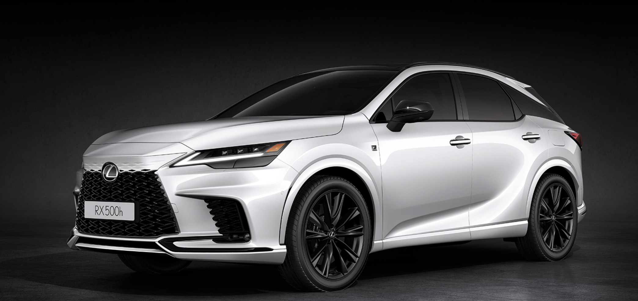 렉서스 rx 앞면 측면