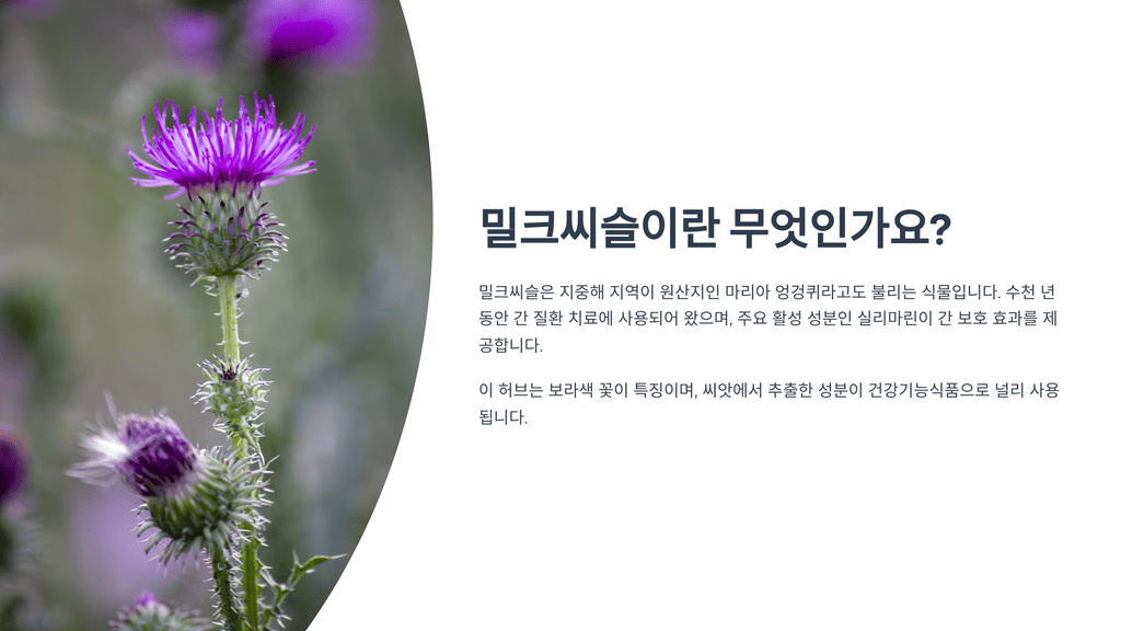 밀크씨슬이란 무엇인가요?