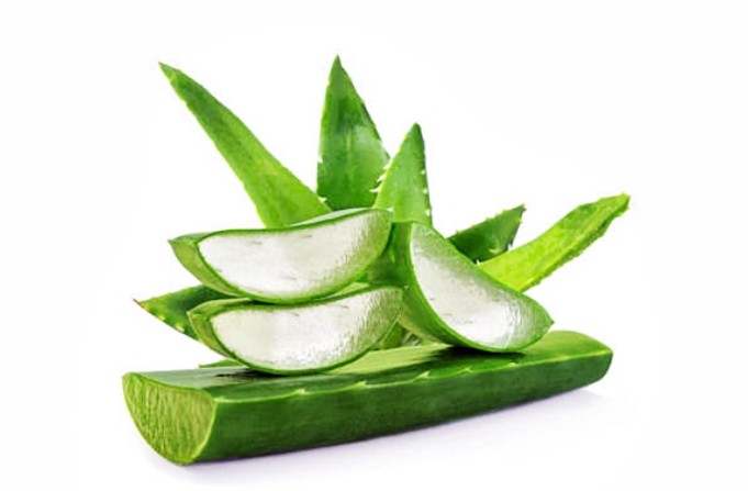 알로에