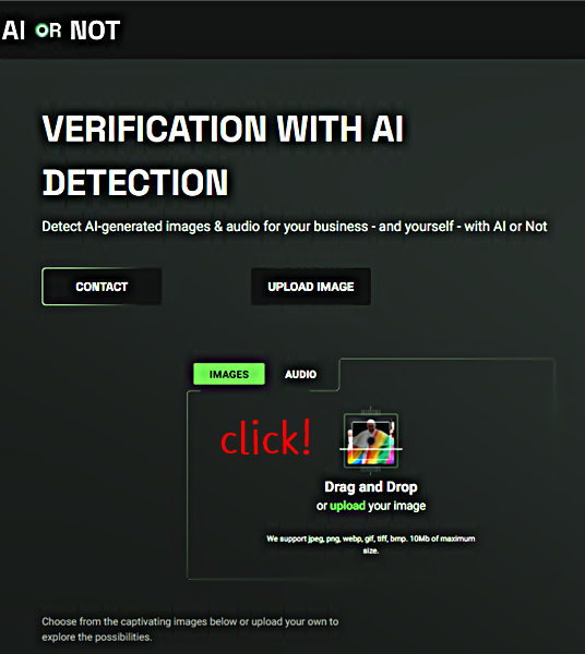 AI or Not 웹페이지 바로가기 링크