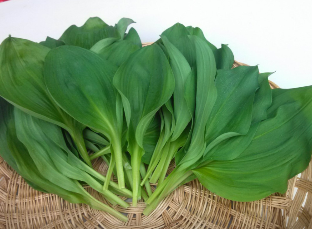 극한직업 명이나물