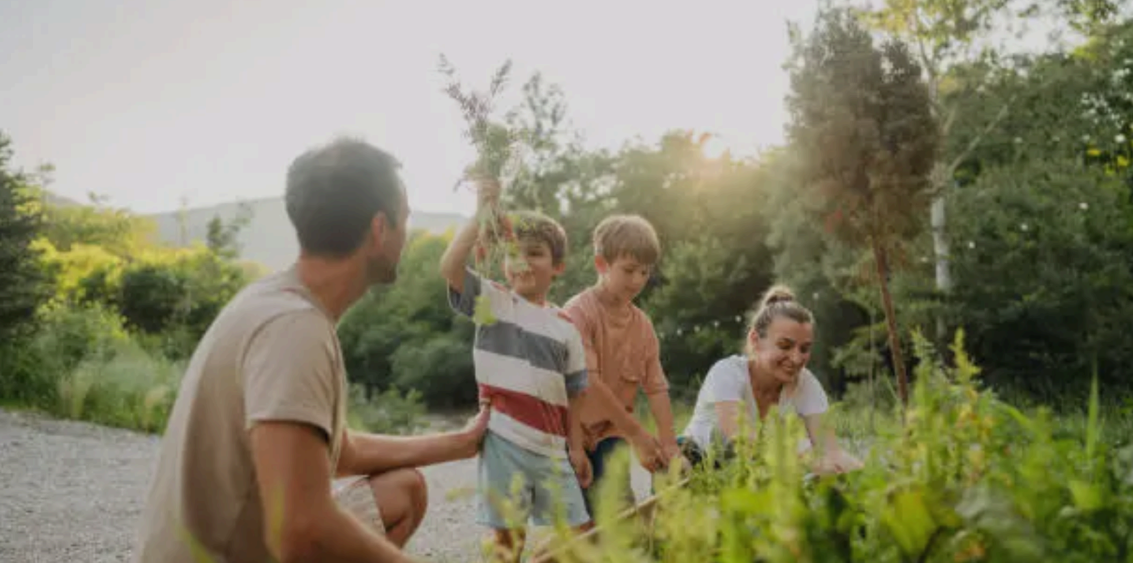 텃밭 흙을 고르거나 잡초를 제거하는 모습