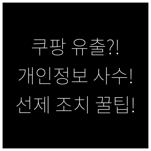 쿠팡 개인정보 유출 막는 선제적 보안..