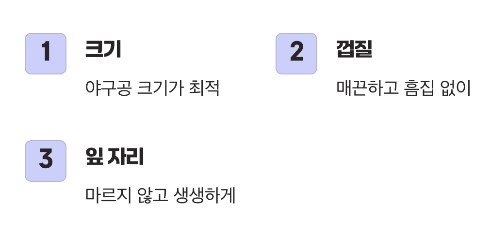 100% 실패 없는 선택의 기술
